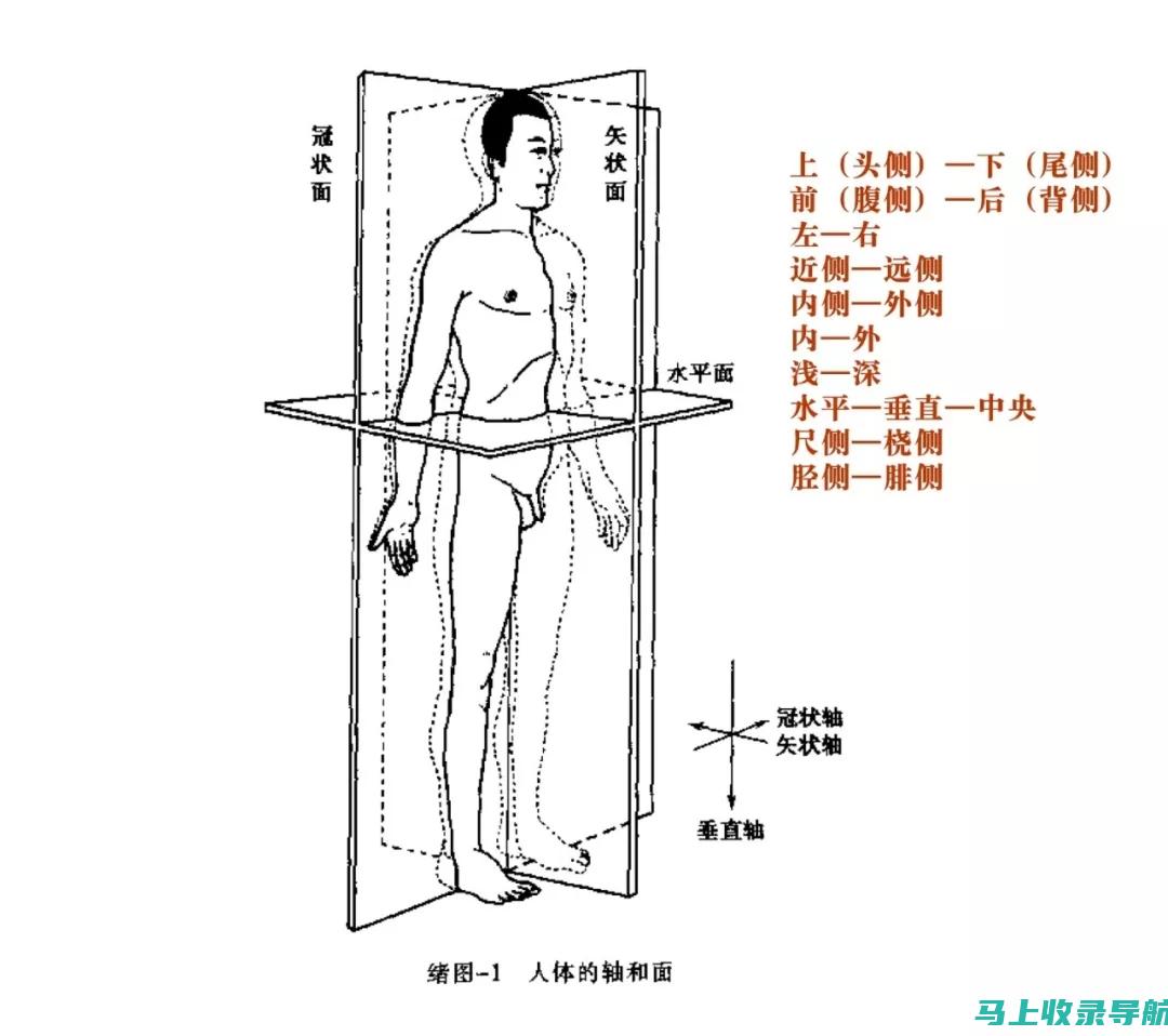 全方位解析SEO查询：内容优化、链接建设与网站架构